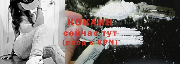 стаф Абинск