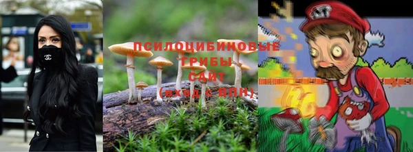 кокаин колумбия Алексин