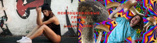 кокаин колумбия Алексин